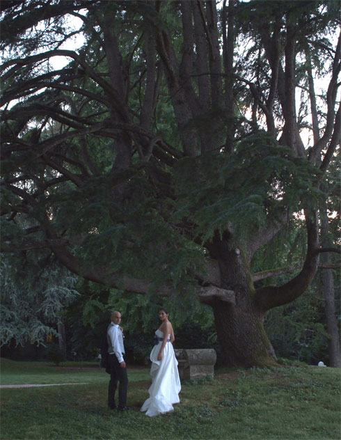 Paolo&Sara_Sposi-con-alberi-secolari-Umbria_Youco-wedding-Palnning-Perugia